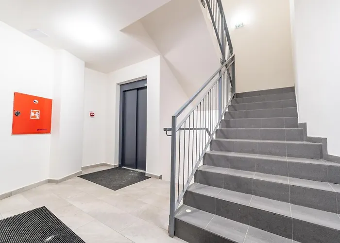Brand New # 42 In Brand New Building With Free Parking In The Center *