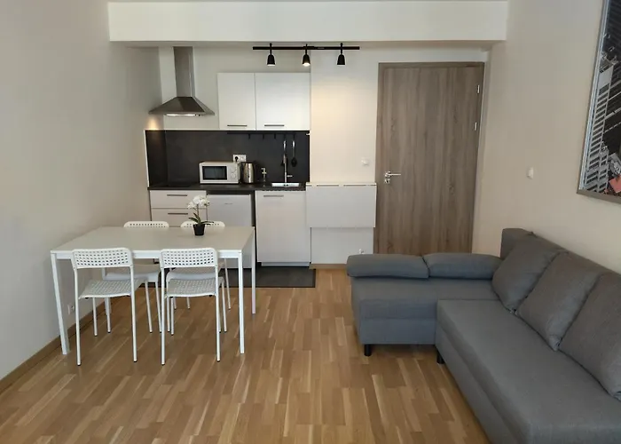 Brand New # 42 In Brand New Building With Free Parking In The Center 프라하